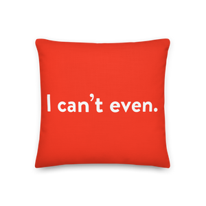 WYRBW Pillow: I can't even