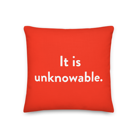 WYRBW Pillow: It is unknowable