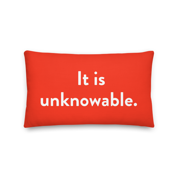 WYRBW Pillow: It is unknowable