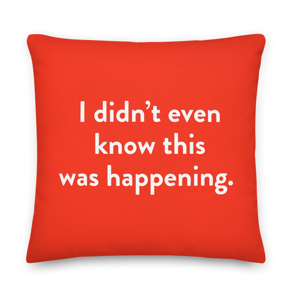 WYRBW Pillow: I didn't even know this was happening